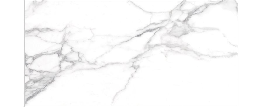 PF GA CARARA WHITE.