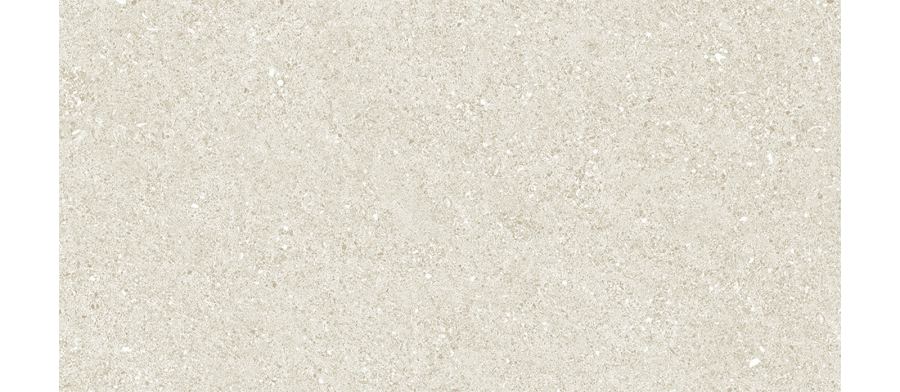 WM 37162